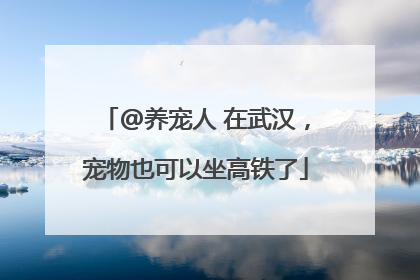 @养宠人 在武汉，宠物也可以坐高铁了