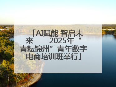 AI赋能 智启未来——2025年“青耘锦州”青年数字电商培训班举行