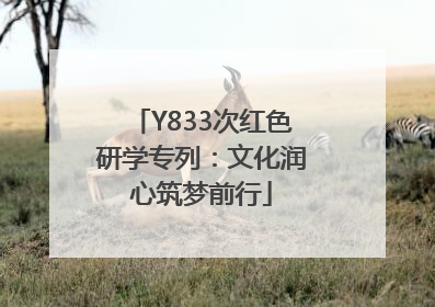Y833次红色研学专列：文化润心筑梦前行